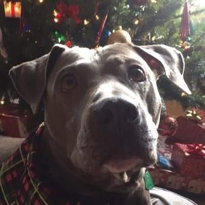 Meet your Posher, Marla